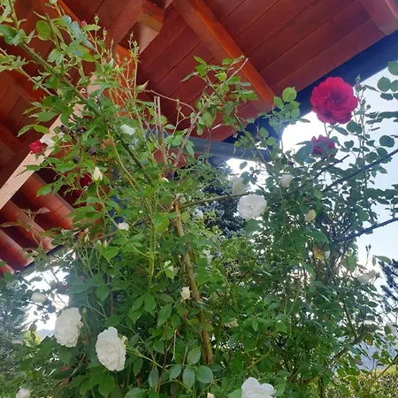 Ganzes Haus Mit Viel Platz Fuer Familie Und Freunde * Klagenfurt am Woerthersee