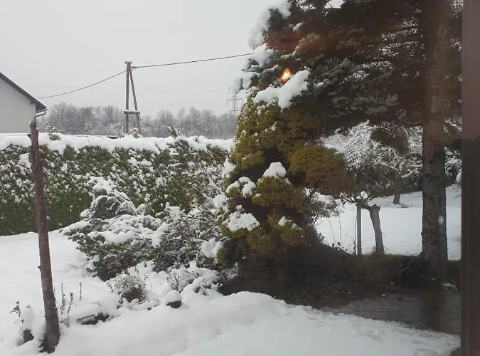 Ganzes Haus Mit Viel Platz Fuer Familie Und Freunde * קלגנפורט