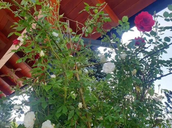 Ganzes Haus Mit Viel Platz Fuer Familie Und Freunde * קלגנפורט